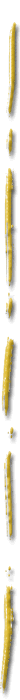line.gif